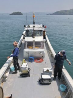 初夏の陽気